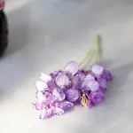 Vk Вилла *