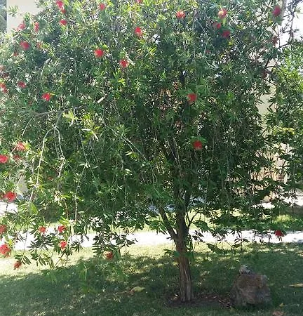 Vilă Vk *